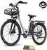 Fafrees E-Bike 26 Zoll 36 V 20,3 Ah 730,8 Wh Citybike 7 Gang, Grau