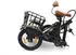 SachsenRAD E-Lastenrad T6S Comfort Air