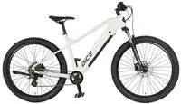 Prophete "Dice 1.8" 8 Gang Shimano Altus Schaltwerk Kettenschaltung Heckmotor...