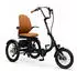 SachsenRAD E-Dreirad T6 Comfort