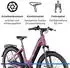 Zündapp X800 550 Wh purple violet