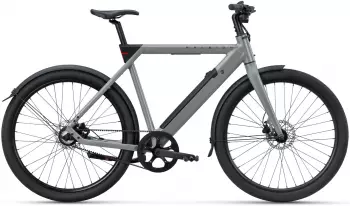 Raleigh One Smart-Bike sage grey