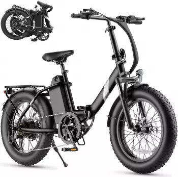 Elektro-Fatbikes