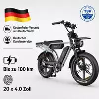 PIXAR M9 E-Bike 48V 17,5Ah Akku (100km), 250W Heckmotor, Shimano 7-Gang - Grau