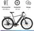 Zündapp Z7 Urban e Singlespeed 28 Zoll anthrazit