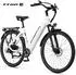 Vankel E3-SE 648Wh 28