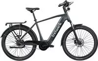 Tretwerk "Amber Nexus" 7 Gang Nabenschaltung Mittelmotor 250 W