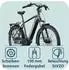Tretwerk Amber Nexus Herren 550Wh 27,5 grau