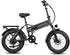 Maxtron Polaris 20 Elektro Fatbike