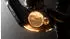 Orbea Wild LT M20 (2027) magic gold c. view/titan gold