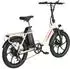 Maxtron MULE 20