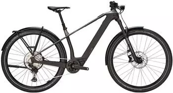 Bulls SONIC SX DAKAR Men 2026 monza grey / UD carbon