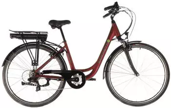 Saxonette Advanced Sport rot