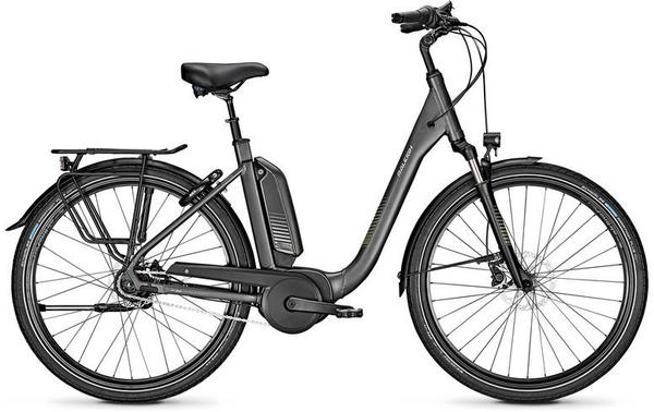 Raleigh Kingston 8 XXL FL (2020) granitegrey