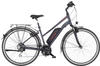 Fischer die Fahrradmarke Fischer Trekking ETD 1806.1 (2021)