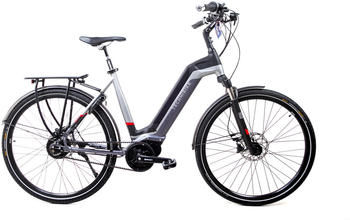 TechniBike Pedelec 28" grey/red