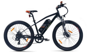 Leicke SachsenRad E-Racing Bike R6 (2021)