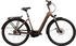 Hercules Bikes Hercules Futura Comp I-F5 (2022) 625 Wh brown-matt