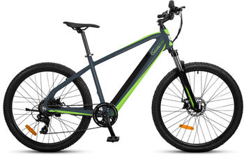 SachsenRAD E-Mountainbike RR, 36V 10Ah - grau