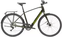 Diamant 365 Deluxe 250 Wh E-Bike 28" oxidgr&uuml;n metallic - L