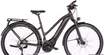 Giant Explore E+ Pro 1 (2023) STA rosewood / black satin-matt-gloss Giant Explore E+ Pro 1 (2023) STA rosewood / black satin-matt-gloss