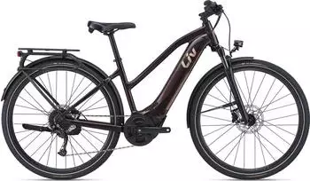 Liv Amiti-E+ 2 - RC Dash Braun Women (2022)