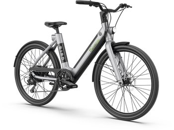 SachsenRAD xBird Urban City-Bike C6F grey