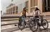 SachsenRAD xBird Urban City-Bike C6F grey