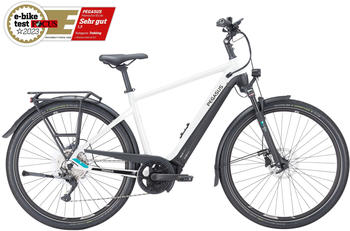 Pegasus Premio Evo 10 Lite (625 Wh) Men (2023) 28 metallic off white
