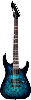 LTD E-Gitarren