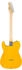 Fender Standard Telecaster MN BPG BTB Butterscotch Blonde