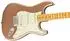Fender American Professional Classic Stratocaster Maple, Faded Firemist Gold (0114942384)