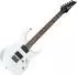 natur: Ibanez RG421