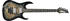 Ibanez RG1120PBZ-CKB Charcoal Black Burst