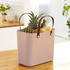 Rotho Multibag Style Albula 25L meadow rose