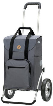 Andersen Royal Shopper Wismar (168-086) grey