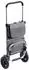 Meister Einkaufstrolley 2 in 1 45L (6816820) grey