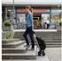 Relaxdays Shopping Trolley 45L (10051092) black/siiver