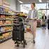 Sekey Einkaufstrolley Treppensteiger klappbar, 50L, Kühlfach, schwarz (SC11)