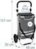 Relaxdays Einkaufstrolley klappbar mit Kühlfach, 45l, 35kg