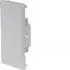 Tehalit Endstück schnittkaschierend Stahlblech BRS 70x130mm OT 80mm lichtgrau (BRS6513067035)