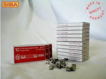 Siba G-Sicherung 5x25 ungenormt, flink 1A, 100 St&uuml;ck (171525.0,1)