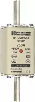 Mersen Sicherungseinsatz DIN NH Standard gG Größe NH1 500VAC 250VDC 250A (E219815)