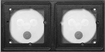 Gira Geh&auml;use 2f fl&auml;chenb&uuml;ndig, schwarz (5512 00)