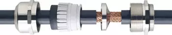Wiska EMSKV 50 EMV-S EMV-Kabelverschraubung, Messing vernickelt mit kurzem Anschlussgewinde, M50 (10102279)
