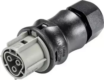 Wieland Electric Steckverbinder RST25I3S B1 ZR2SV BG03 (96.031.4154.3)