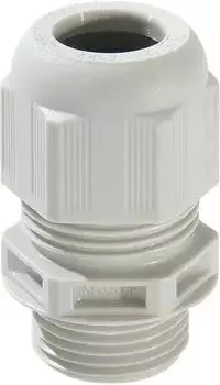 Wiska ESKV 63 LG Kabelverschraubung, Kunststoff, M63, RAL 7035 mit kurzem Anschlussgewinde (10066417)
