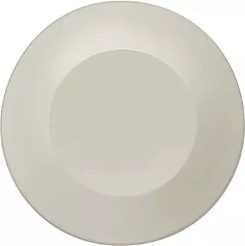 Siemens DELTA fl&auml;che IP44 Ersatzfenster f&uuml;r Lichtsignal, wei&szlig; (5TG4207)