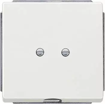 Siemens DELTA style Auslassplatte, platinmetallic (5TG1335-1)