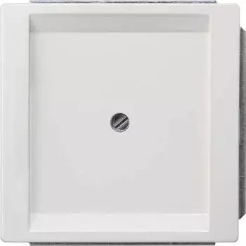 Siemens DELTA style Blindplatte, platinmetallic (5TG1330-1)